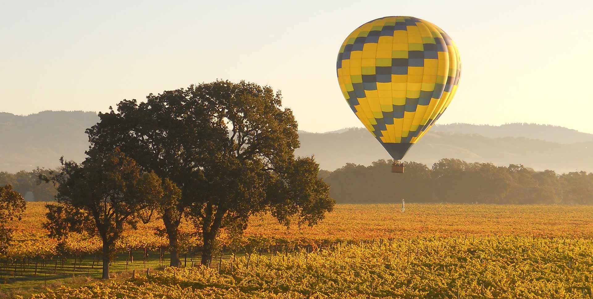 Sonoma Valley