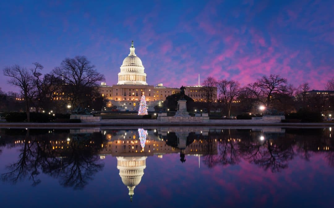 D.C. Christmas