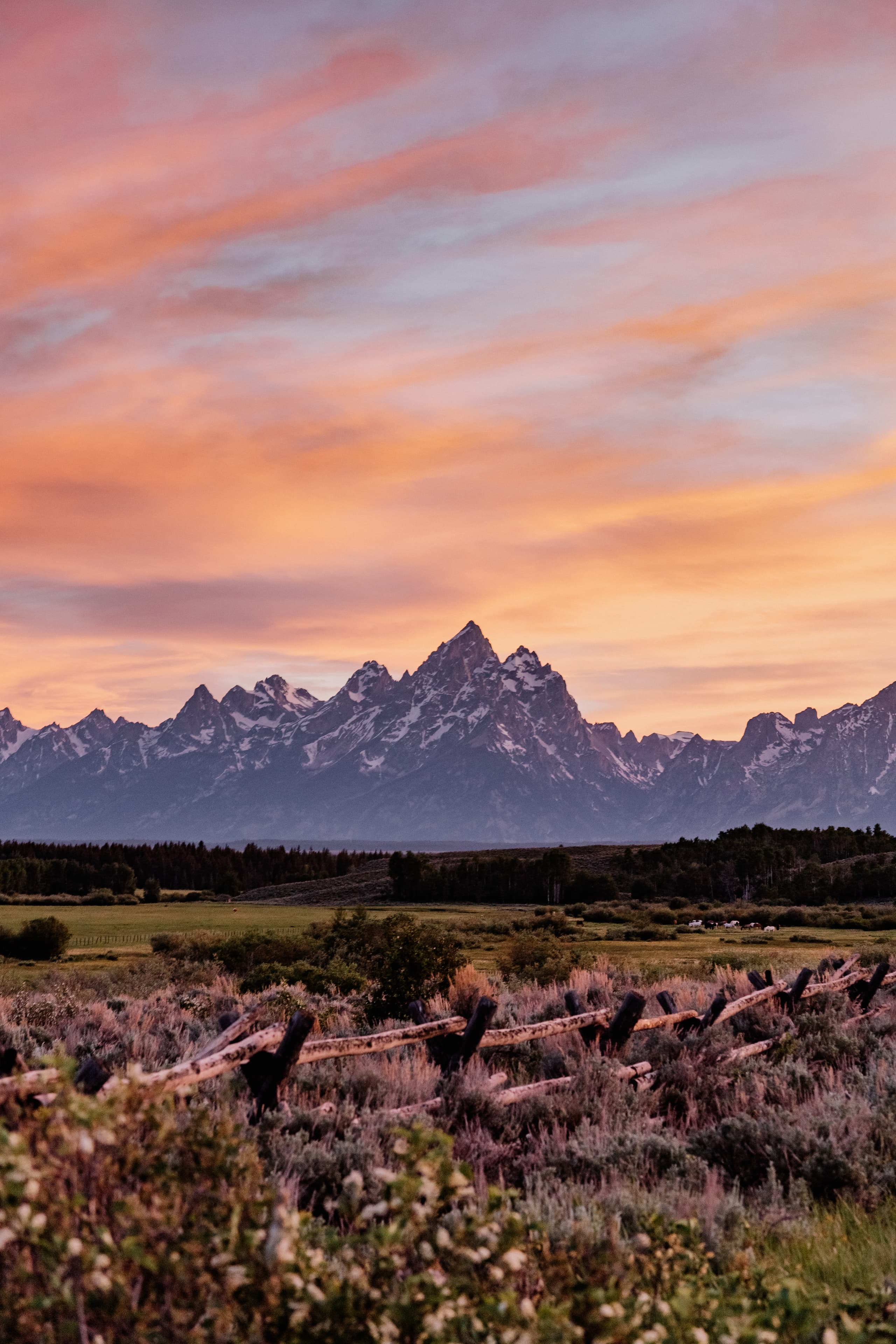 Grand Tetons