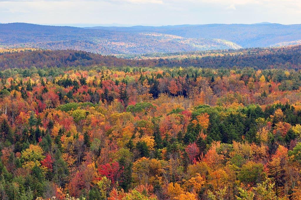 Mohawk Trail