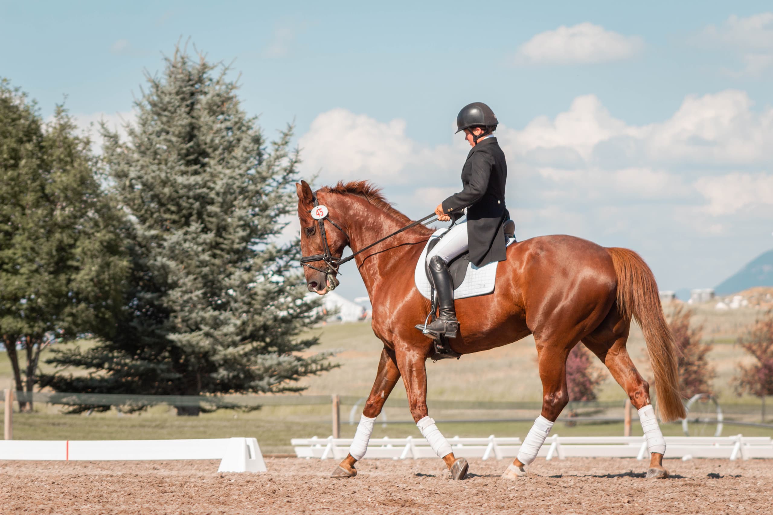 Equestrian Event