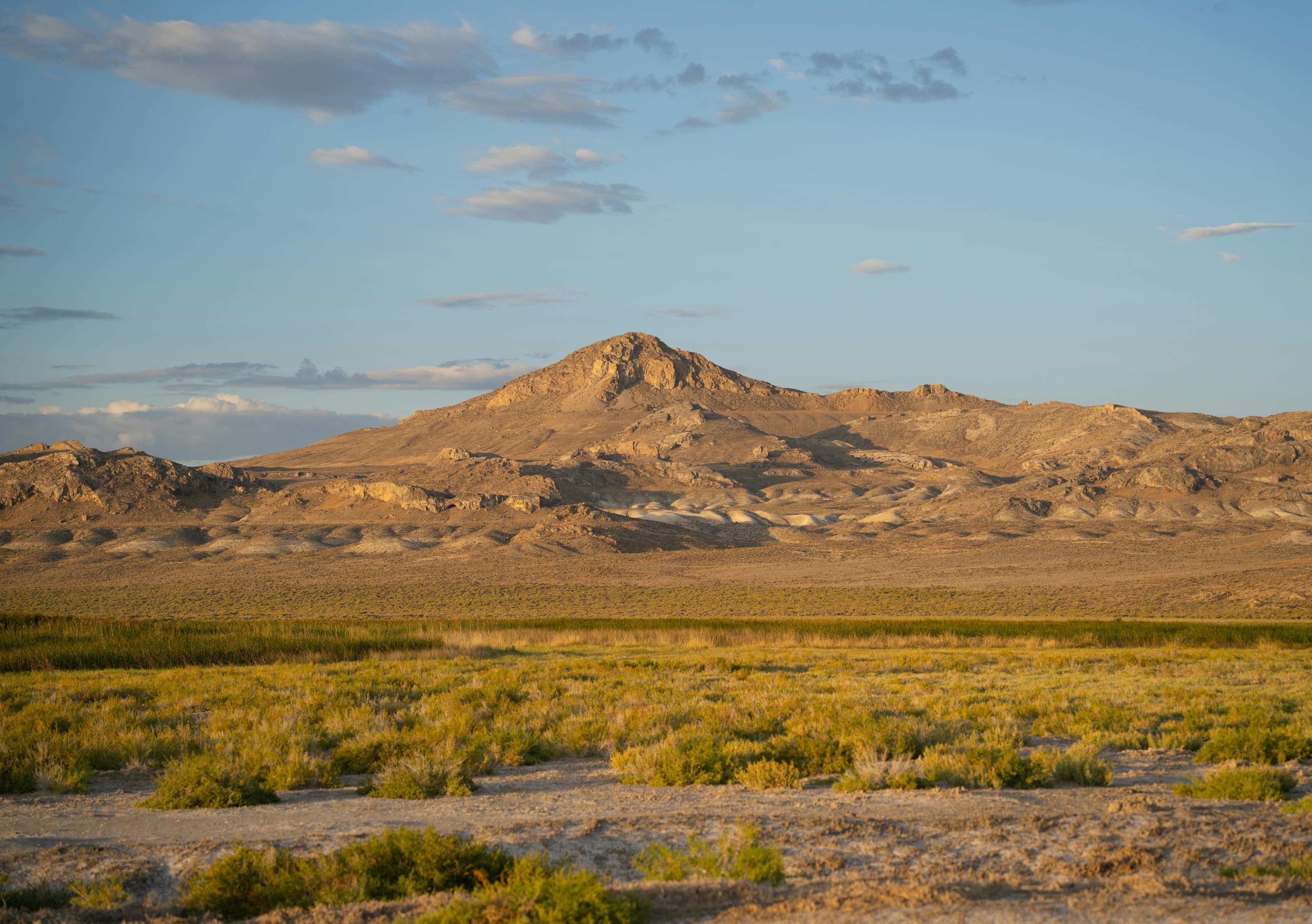 Verde Ranch