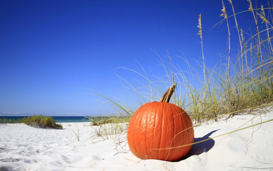 Pumpkin on Beach